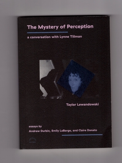 The cover of the book 'The Mystery of Perception'.